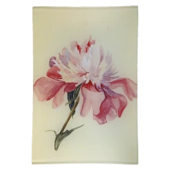 John Derian Peony 2