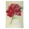 John Derian Peony 3 Decoupage