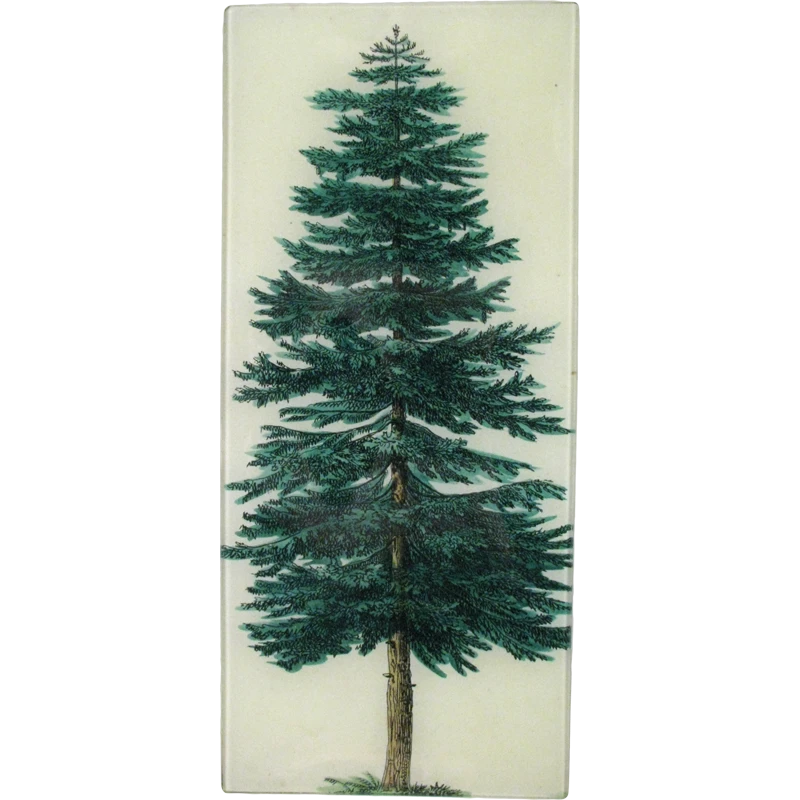 John Derian Evergreen Tree 3 John Derian Evergreen Tree