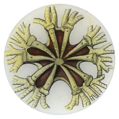John Derian Decoupage Starfish No. 30