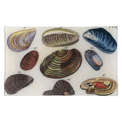 John Derian Clams Decoupage