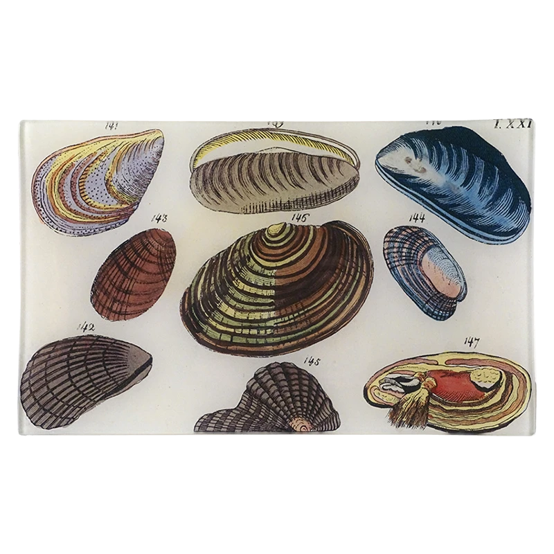 John Derian Clams Decoupage 3 John Derian Clams Decoupage