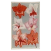 John Derian Gladiola Variety Decoupage