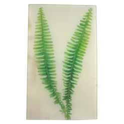 John Derian Painted Fern
