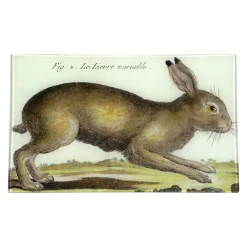 John Derian Rabbit