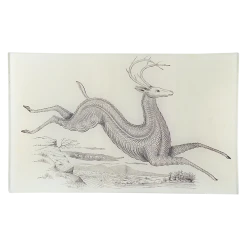 John Derian Real Pen-Work Deer Decoupage