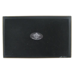 John Derian Shells Circa 1755