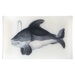 John Derian Orca Killer Whale Decoupage