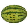 John Derian Watermelon Decoupage