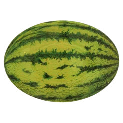 John Derian Watermelon Decoupage