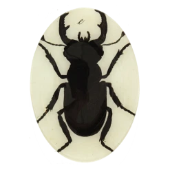 John Derian Insect Silhouette - FINAL SALE Halloween