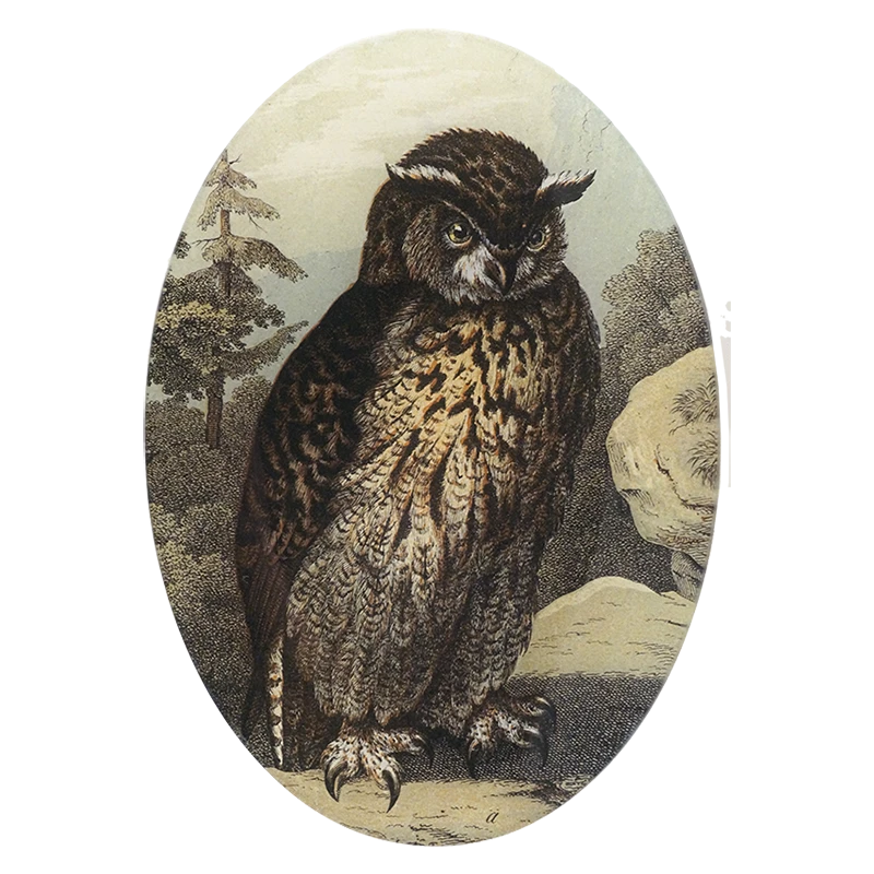 John Derian Decoupage Owl 3 John Derian Decoupage Owl
