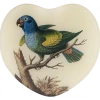 John Derian Decoupage Blue Headed Parrot