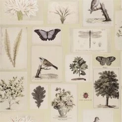 Designers Guild Wallpaper Flora And Fauna Canvas