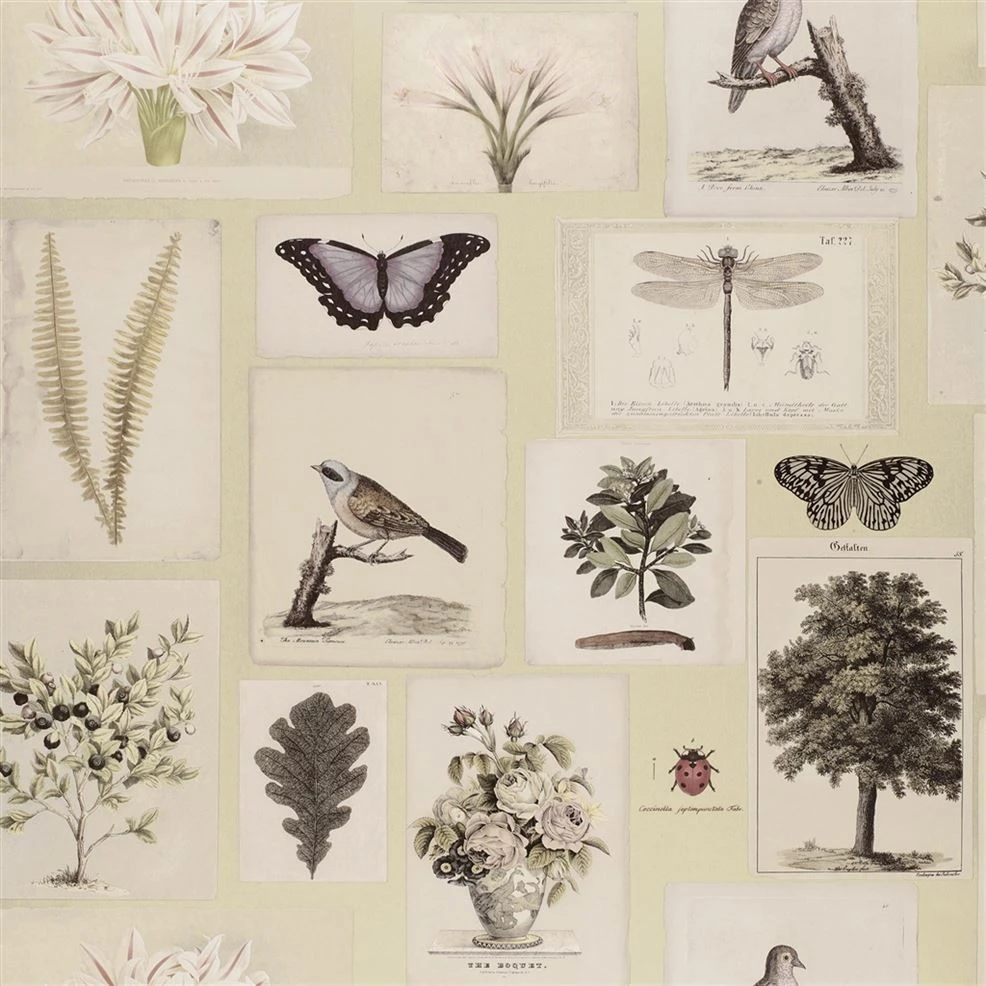 Designers Guild Wallpaper Flora And Fauna Canvas 3 Designers Guild Wallpaper Flora And Fauna Canvas