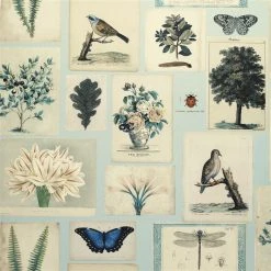 Designers Guild Flora And Fauna Cloud Blue Wallpaper