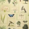 Designers Guild Flora And Fauna Parchment Wallpaper