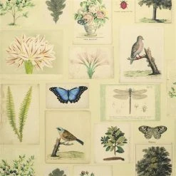 Designers Guild Flora And Fauna Parchment Wallpaper