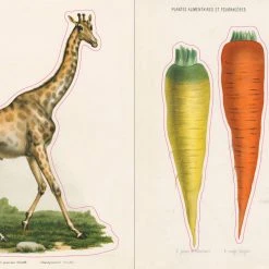 John Derian Company Inc Books & Notebooks The John Derian Sticker Book