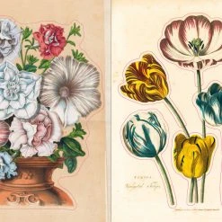 John Derian Company Inc Books & Notebooks The John Derian Sticker Book