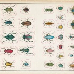 John Derian Company Inc Books & Notebooks The John Derian Sticker Book