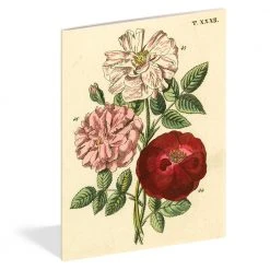 John Derian Company Inc Books & Notebooks Everything Roses Notebook Set