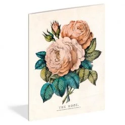 John Derian Company Inc Books & Notebooks Everything Roses Notebook Set