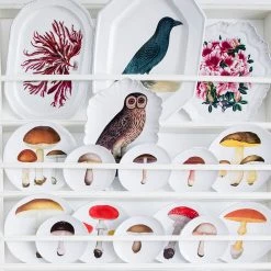 John Derian X ADV Bolet Comestible Dinner Plate Dining & Tabletop