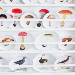 John Derian X ADV Bolet Pernicieux Soup Bowl