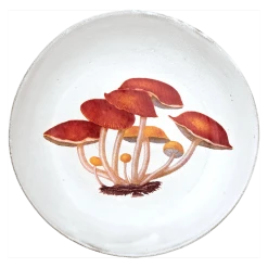 John Derian X ADV Agaric Amer Soup Bowl Dining & Tabletop