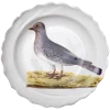 John Derian X ADV Wild Dove Soup Plate