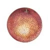 John Derian X ADV Apple Orange Plate Dining & Tabletop