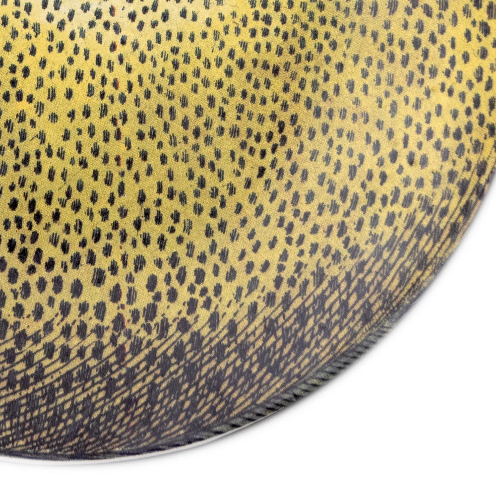 John Derian X ADV Grapefruit Dinner Plate Dining & Tabletop 4 John Derian X ADV Grapefruit Dinner Plate Dining & Tabletop