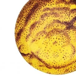 John Derian X ADV Dining & Tabletop Malus Poma (Lemon) Saucer