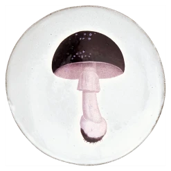 John Derian X ADV Agaric Fuligineux Dinner Plate Dining & Tabletop