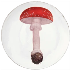 John Derian X ADV Agaric Fausse Oronge Umbrella Dinner Plate Dining & Tabletop