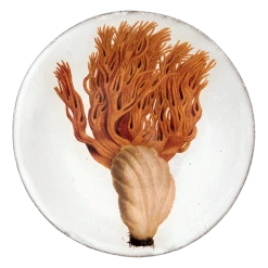 John Derian X ADV Glavaire Plate