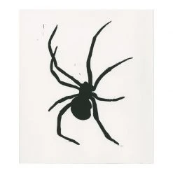 Hugo Guinness Black Spider Art & Objects