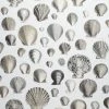 Designers Guild Wallpaper Captain Thomas Brown Shells Pearl 1 Designers Guild Wallpaper Captain Thomas Brown Shells Pearl