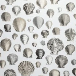 Designers Guild Wallpaper Captain Thomas Brown Shells Pearl