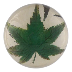 John Derian Decoupage Acer Maple