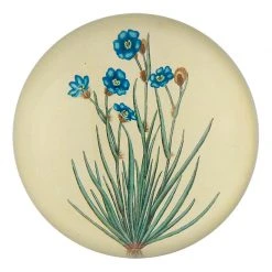 John Derian Aristia Oyanea