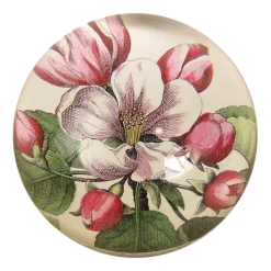 John Derian Beach Rose Decoupage
