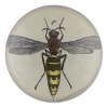 John Derian Bee O. 2 John Derian Bee O.