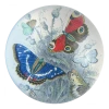 John Derian Decoupage Butterflies