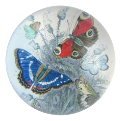 John Derian Decoupage Butterflies
