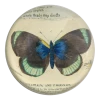 John Derian Black Green Butterfly Decoupage