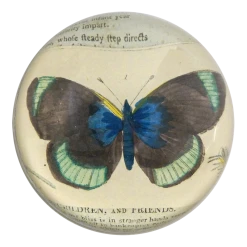 John Derian Black Green Butterfly Decoupage