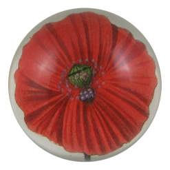 John Derian Decoupage Blood Poppy