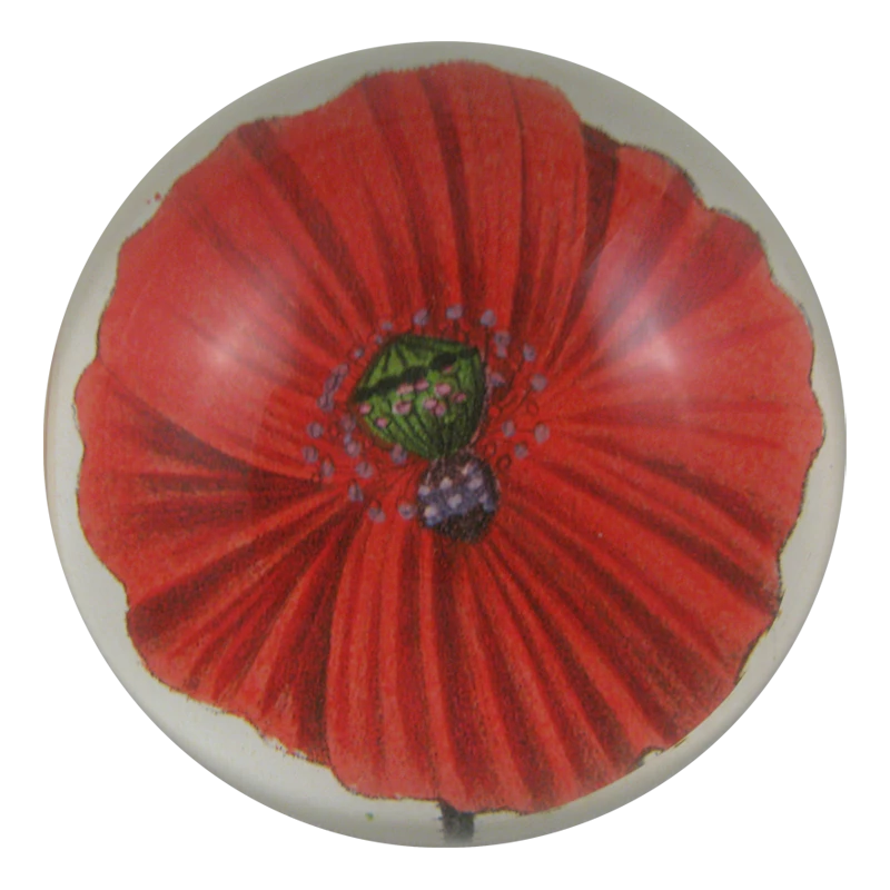 John Derian Decoupage Blood Poppy 3 John Derian Decoupage Blood Poppy